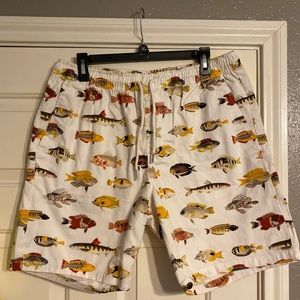 Forever 21 fish print shorts